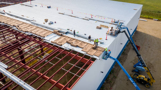 Best Attic Insulation Installation  in Paris, TX